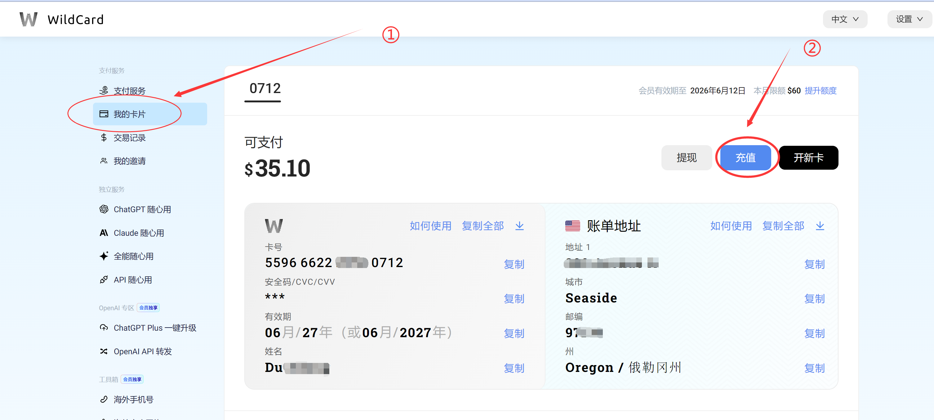 ChatGPT Plus充值教程：新手必看，WildCard使用指南– 智技AI