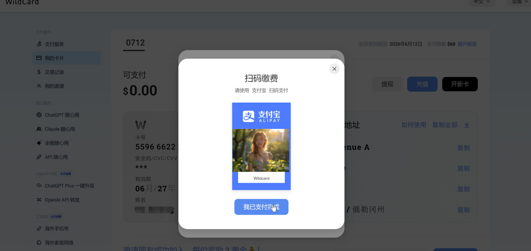 ChatGPT Plus充值教程：新手必看，WildCard使用指南– 智技AI